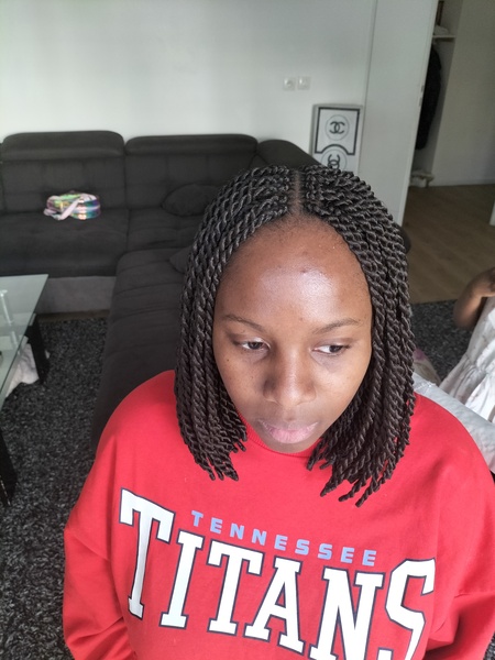 salon de coiffure afro tresse tresses box braids crochet braids vanilles tissages paris 75 77 78 91 92 93 94 95 JBUIZNTB