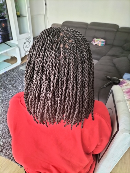 salon de coiffure afro tresse tresses box braids crochet braids vanilles tissages paris 75 77 78 91 92 93 94 95 FEAMESQC