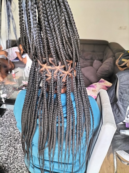 salon de coiffure afro tresse tresses box braids crochet braids vanilles tissages paris 75 77 78 91 92 93 94 95 LCETOXXA