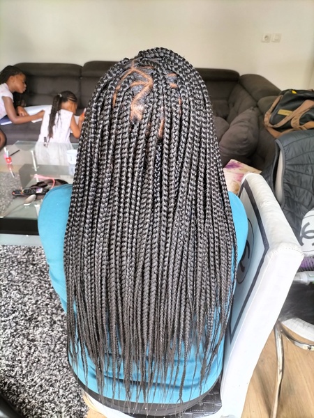 salon de coiffure afro tresse tresses box braids crochet braids vanilles tissages paris 75 77 78 91 92 93 94 95 LMIRHHRB