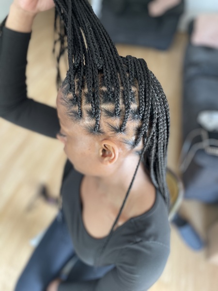 salon de coiffure afro tresse tresses box braids crochet braids vanilles tissages paris 75 77 78 91 92 93 94 95 TNHEQEAT