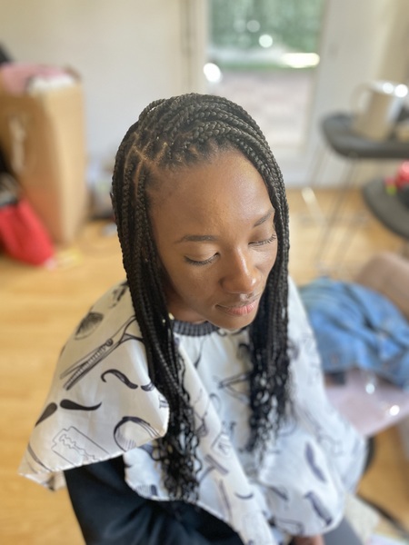 salon de coiffure afro tresse tresses box braids crochet braids vanilles tissages paris 75 77 78 91 92 93 94 95 CJNPPSET