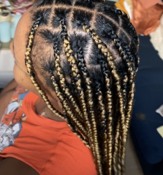 salon de coiffure afro tresse tresses box braids crochet braids vanilles tissages paris 75 77 78 91 92 93 94 95 OFPNDHLT