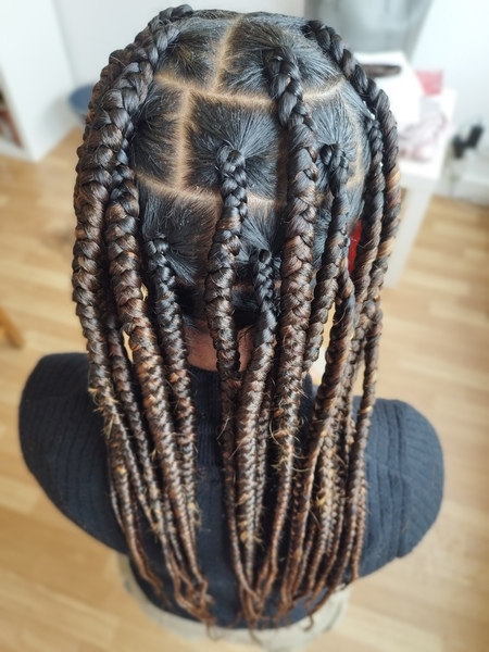 salon de coiffure afro tresse tresses box braids crochet braids vanilles tissages paris 75 77 78 91 92 93 94 95 LVCLKVYI