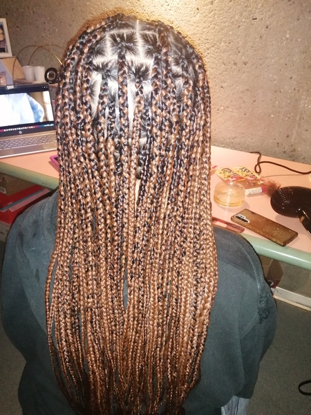 salon de coiffure afro tresse tresses box braids crochet braids vanilles tissages paris 75 77 78 91 92 93 94 95 JBQEVURT