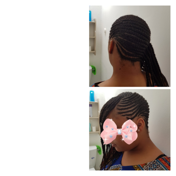 salon de coiffure afro tresse tresses box braids crochet braids vanilles tissages paris 75 77 78 91 92 93 94 95 HMKPODMQ
