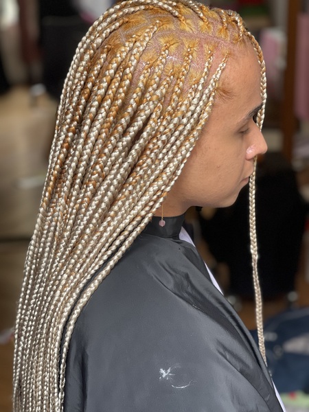 salon de coiffure afro tresse tresses box braids crochet braids vanilles tissages paris 75 77 78 91 92 93 94 95 YKUTIPDC