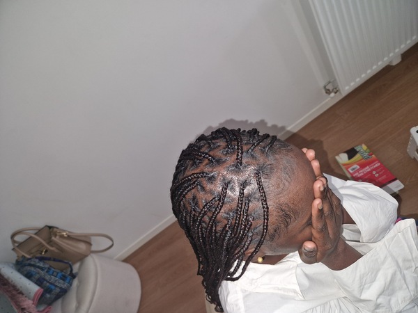 salon de coiffure afro tresse tresses box braids crochet braids vanilles tissages paris 75 77 78 91 92 93 94 95 ZAPPQNSY
