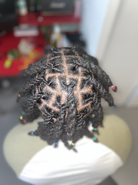 salon de coiffure afro tresse tresses box braids crochet braids vanilles tissages paris 75 77 78 91 92 93 94 95 GNHWSAEO