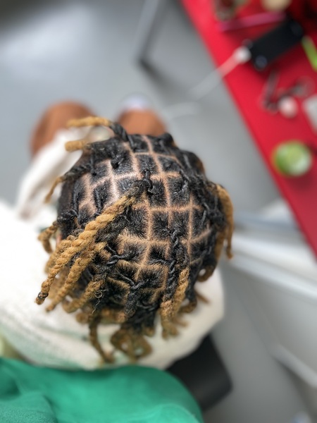 salon de coiffure afro tresse tresses box braids crochet braids vanilles tissages paris 75 77 78 91 92 93 94 95 MZUPIOSB