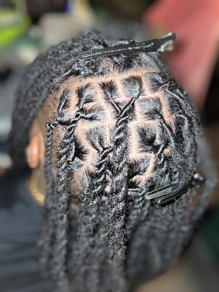 salon de coiffure afro tresse tresses box braids crochet braids vanilles tissages paris 75 77 78 91 92 93 94 95 AYKTIUHF