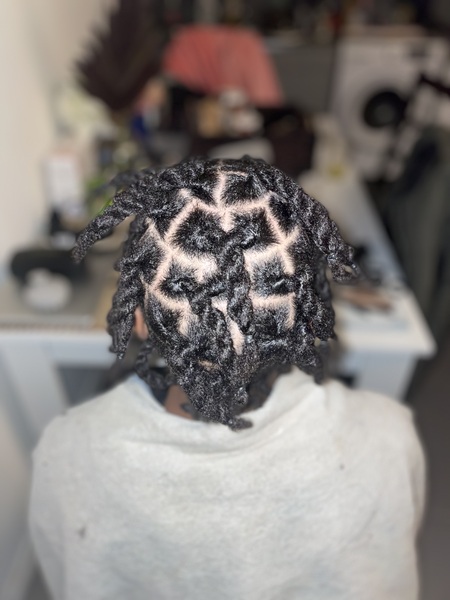 salon de coiffure afro tresse tresses box braids crochet braids vanilles tissages paris 75 77 78 91 92 93 94 95 OPLKIUFA