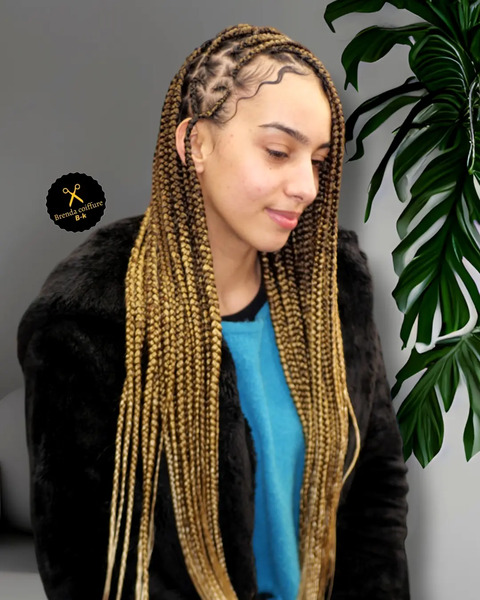 salon de coiffure afro tresse tresses box braids crochet braids vanilles tissages paris 75 77 78 91 92 93 94 95 ZULOARIZ