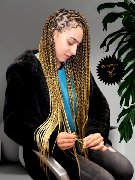 salon de coiffure afro tresse tresses box braids crochet braids vanilles tissages paris 75 77 78 91 92 93 94 95 RONKFBKQ