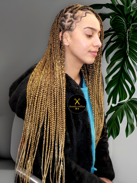 salon de coiffure afro tresse tresses box braids crochet braids vanilles tissages paris 75 77 78 91 92 93 94 95 VDTOCIFK