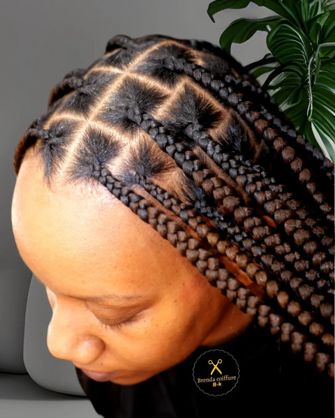 salon de coiffure afro tresse tresses box braids crochet braids vanilles tissages paris 75 77 78 91 92 93 94 95 RBCZHSBE