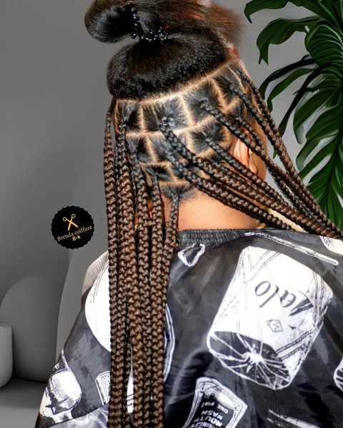 salon de coiffure afro tresse tresses box braids crochet braids vanilles tissages paris 75 77 78 91 92 93 94 95 JEPMFSYJ