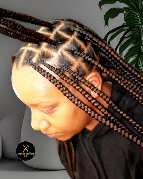 salon de coiffure afro tresse tresses box braids crochet braids vanilles tissages paris 75 77 78 91 92 93 94 95 BRLISXPS