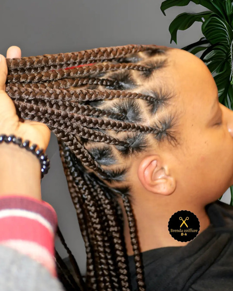 salon de coiffure afro tresse tresses box braids crochet braids vanilles tissages paris 75 77 78 91 92 93 94 95 SQYFUVBE