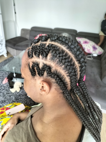 salon de coiffure afro tresse tresses box braids crochet braids vanilles tissages paris 75 77 78 91 92 93 94 95 HUWZJFCH
