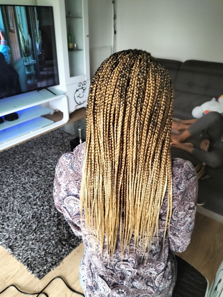salon de coiffure afro tresse tresses box braids crochet braids vanilles tissages paris 75 77 78 91 92 93 94 95 BQZTEFJR