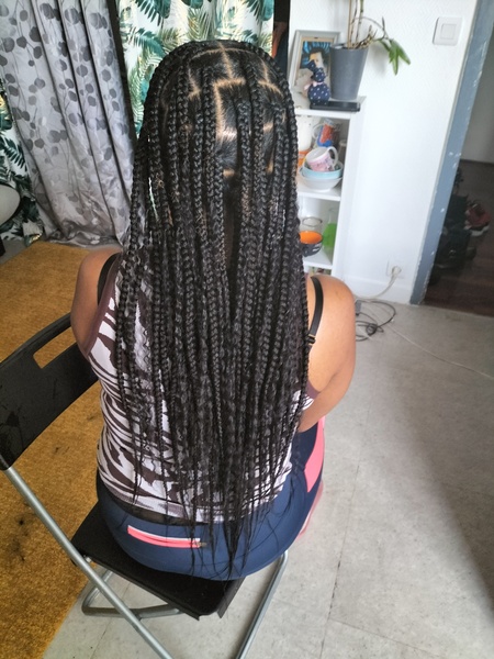 salon de coiffure afro tresse tresses box braids crochet braids vanilles tissages paris 75 77 78 91 92 93 94 95 SWPLCIGX