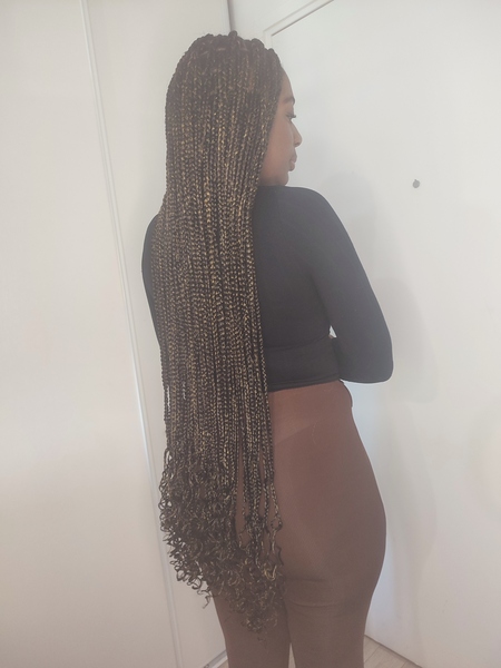 salon de coiffure afro tresse tresses box braids crochet braids vanilles tissages paris 75 77 78 91 92 93 94 95 XFLXELDG
