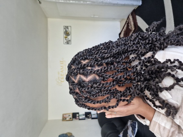 salon de coiffure afro tresse tresses box braids crochet braids vanilles tissages paris 75 77 78 91 92 93 94 95 HETULWHI