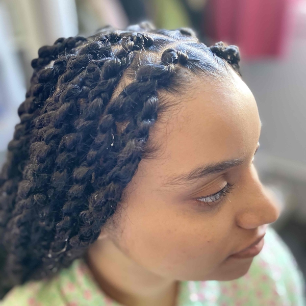 salon de coiffure afro tresse tresses box braids crochet braids vanilles tissages paris 75 77 78 91 92 93 94 95 MUGBPRZH