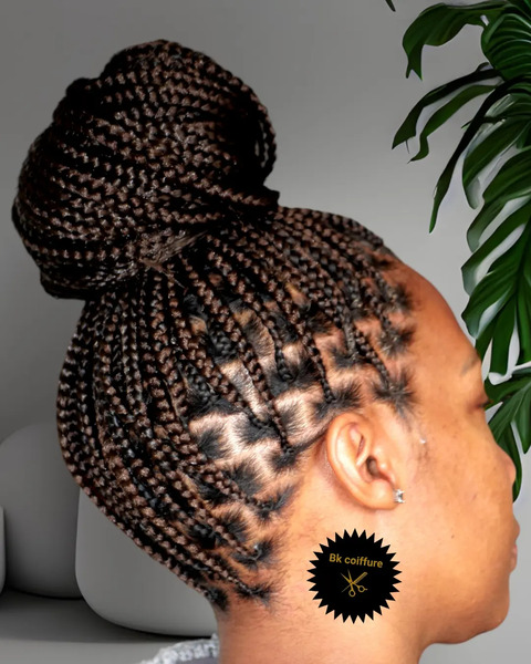 salon de coiffure afro tresse tresses box braids crochet braids vanilles tissages paris 75 77 78 91 92 93 94 95 WZCHHHVB