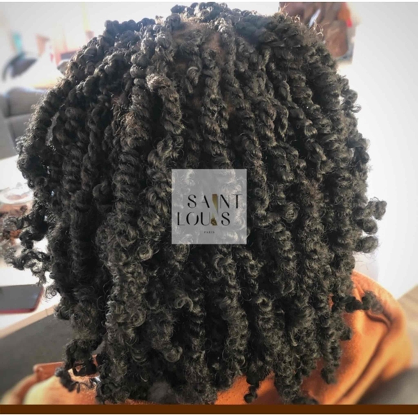 salon de coiffure afro tresse tresses box braids crochet braids vanilles tissages paris 75 77 78 91 92 93 94 95 EZFKSYDD