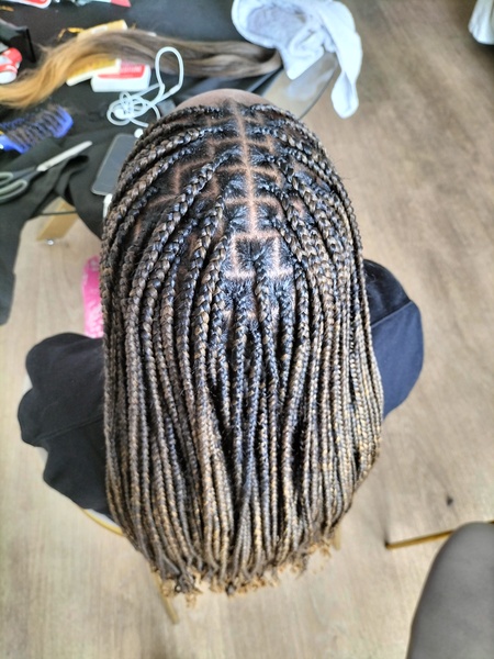 salon de coiffure afro tresse tresses box braids crochet braids vanilles tissages paris 75 77 78 91 92 93 94 95 RXDEFSBG