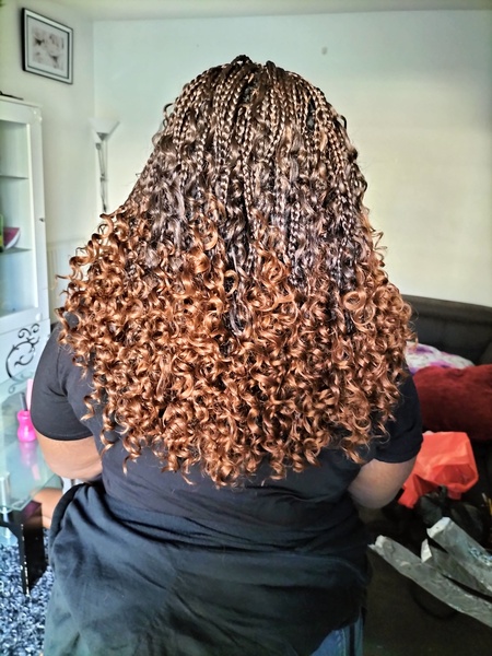 salon de coiffure afro tresse tresses box braids crochet braids vanilles tissages paris 75 77 78 91 92 93 94 95 LMWAFCOL