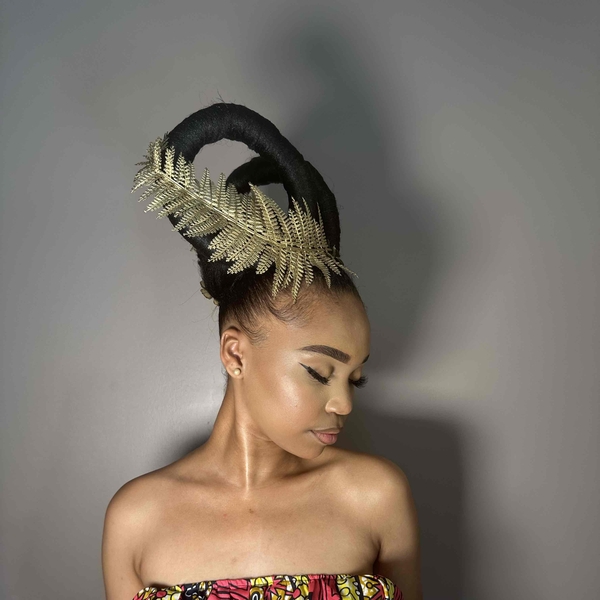 salon de coiffure afro tresse tresses box braids crochet braids vanilles tissages paris 75 77 78 91 92 93 94 95 ZZYHYGFZ
