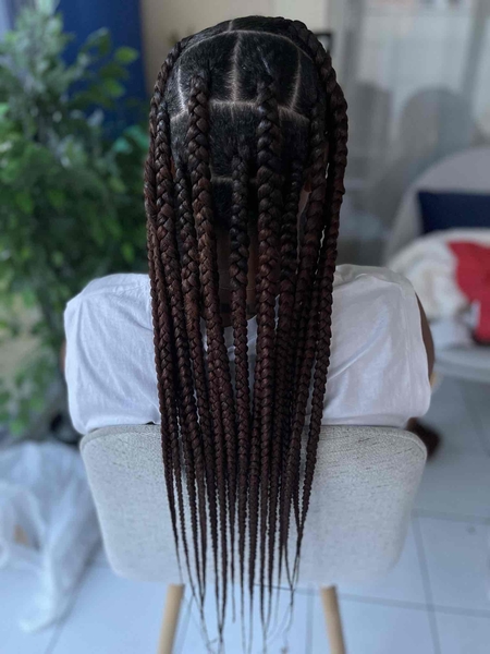 salon de coiffure afro tresse tresses box braids crochet braids vanilles tissages paris 75 77 78 91 92 93 94 95 TMQSLAMX