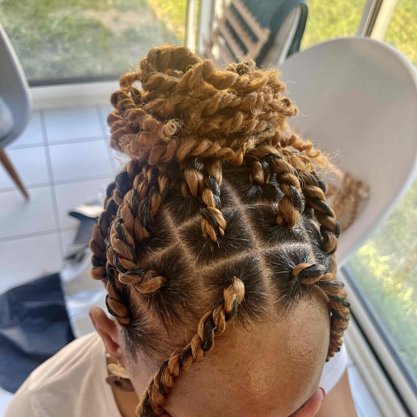 salon de coiffure afro tresse tresses box braids crochet braids vanilles tissages paris 75 77 78 91 92 93 94 95 IDDXVOME