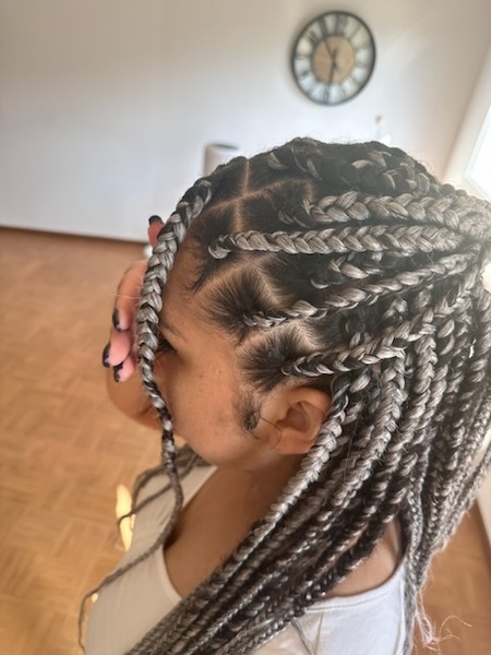 salon de coiffure afro tresse tresses box braids crochet braids vanilles tissages paris 75 77 78 91 92 93 94 95 FHJSRFIC