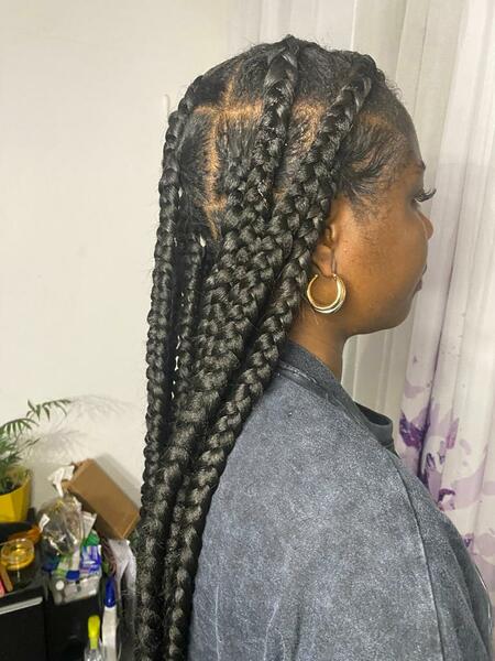 salon de coiffure afro tresse tresses box braids crochet braids vanilles tissages paris 75 77 78 91 92 93 94 95 NTZCDUFN