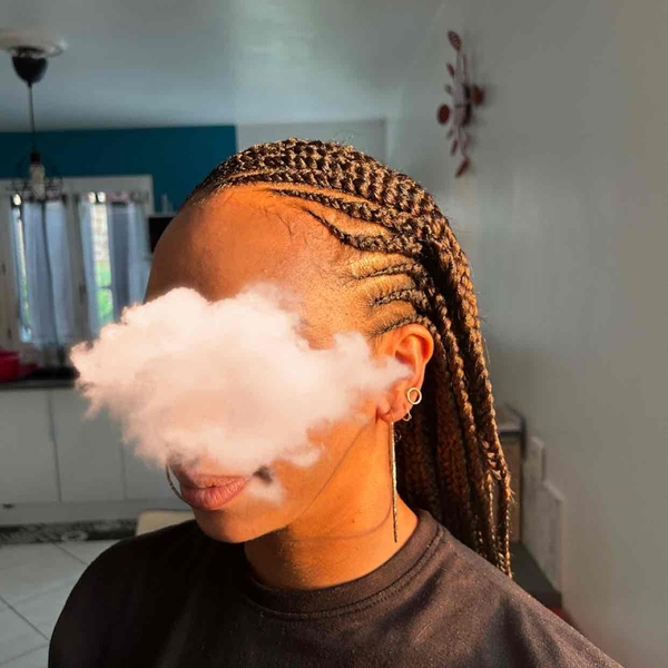 salon de coiffure afro tresse tresses box braids crochet braids vanilles tissages paris 75 77 78 91 92 93 94 95 MGNUVNEZ