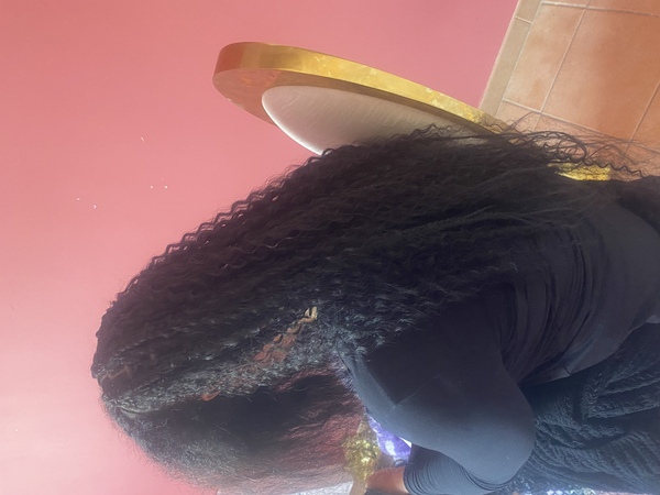 salon de coiffure afro tresse tresses box braids crochet braids vanilles tissages paris 75 77 78 91 92 93 94 95 WDANCMXU
