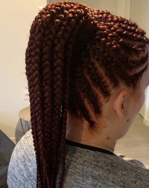 salon de coiffure afro tresse tresses box braids crochet braids vanilles tissages paris 75 77 78 91 92 93 94 95 UUGTQOAW