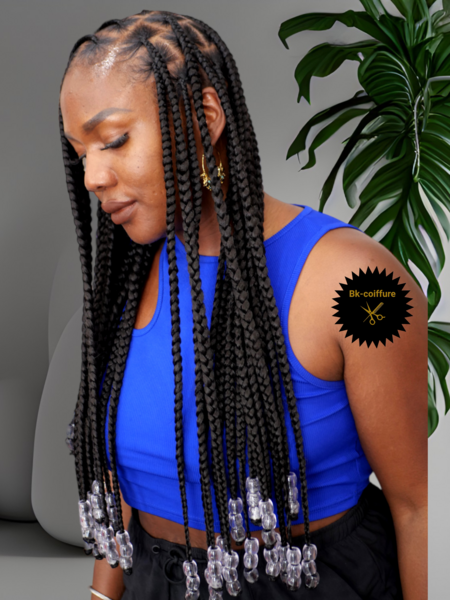 salon de coiffure afro tresse tresses box braids crochet braids vanilles tissages paris 75 77 78 91 92 93 94 95 EETRFZBR