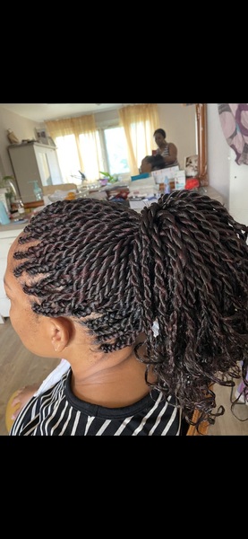 salon de coiffure afro tresse tresses box braids crochet braids vanilles tissages paris 75 77 78 91 92 93 94 95 XWDBSLNQ