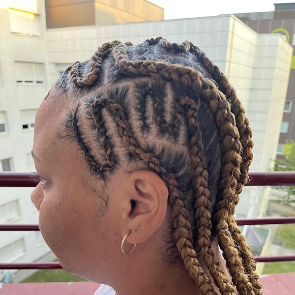 salon de coiffure afro tresse tresses box braids crochet braids vanilles tissages paris 75 77 78 91 92 93 94 95 JYSOJFQG