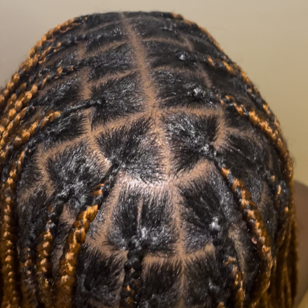 salon de coiffure afro tresse tresses box braids crochet braids vanilles tissages paris 75 77 78 91 92 93 94 95 LDDUSNLV