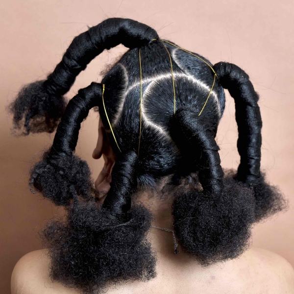 salon de coiffure afro tresse tresses box braids crochet braids vanilles tissages paris 75 77 78 91 92 93 94 95 QLUBFJHD