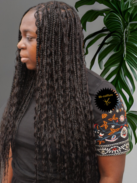 salon de coiffure afro tresse tresses box braids crochet braids vanilles tissages paris 75 77 78 91 92 93 94 95 LFQHKRCJ