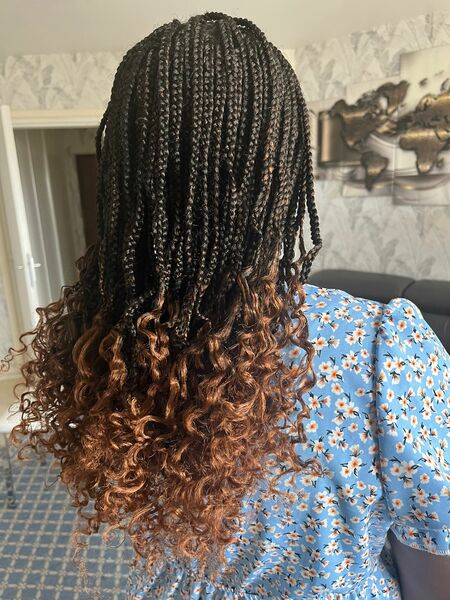 salon de coiffure afro tresse tresses box braids crochet braids vanilles tissages paris 75 77 78 91 92 93 94 95 HBFRKZAY