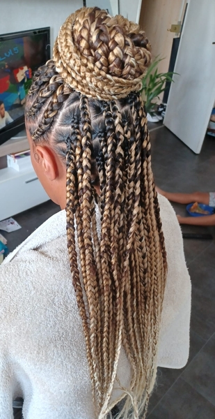 salon de coiffure afro tresse tresses box braids crochet braids vanilles tissages paris 75 77 78 91 92 93 94 95 VMOSNSNL