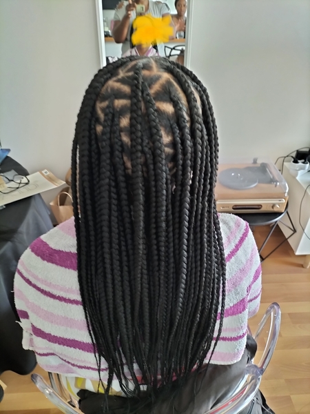 salon de coiffure afro tresse tresses box braids crochet braids vanilles tissages paris 75 77 78 91 92 93 94 95 LTURNBJL